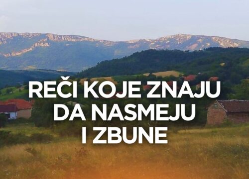 Torlački za početnike – Naučite izraze pre posete našem kraju
