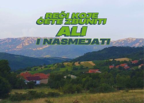 Torlački za početnike – Naučite izraze pre posete našem kraju