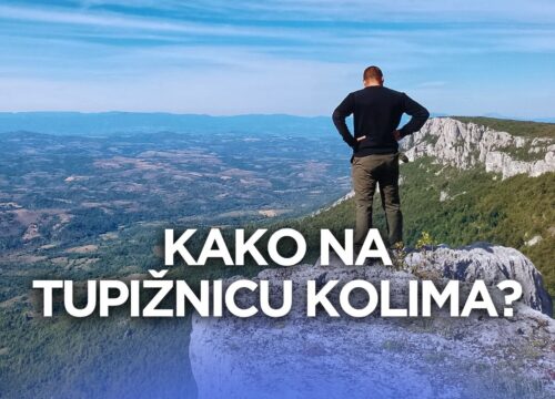 Tupižnica kolima