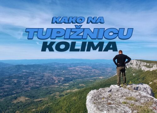 Tupižnica kolima