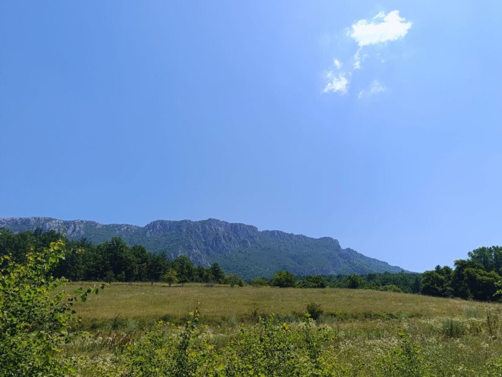 Pogled na Tupižnicu sa puta Lasovo-Bučje