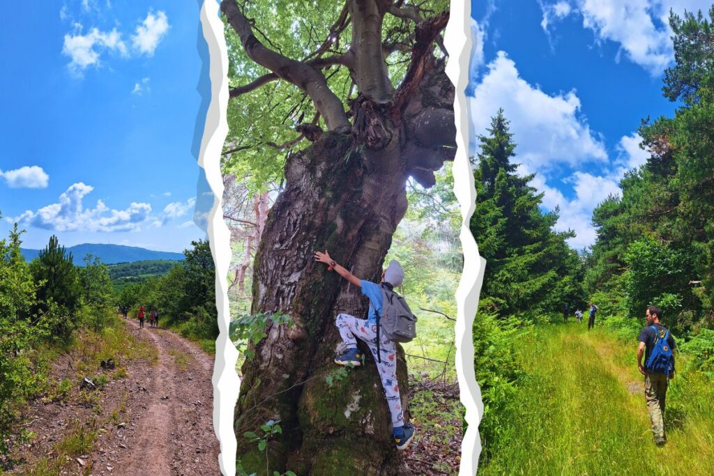 planina slemen