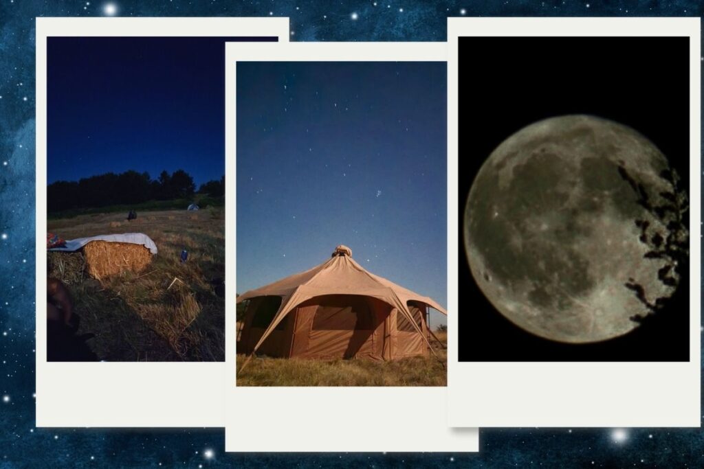 Kolaž sastavljen od najboljih slika učesnika takmičenja