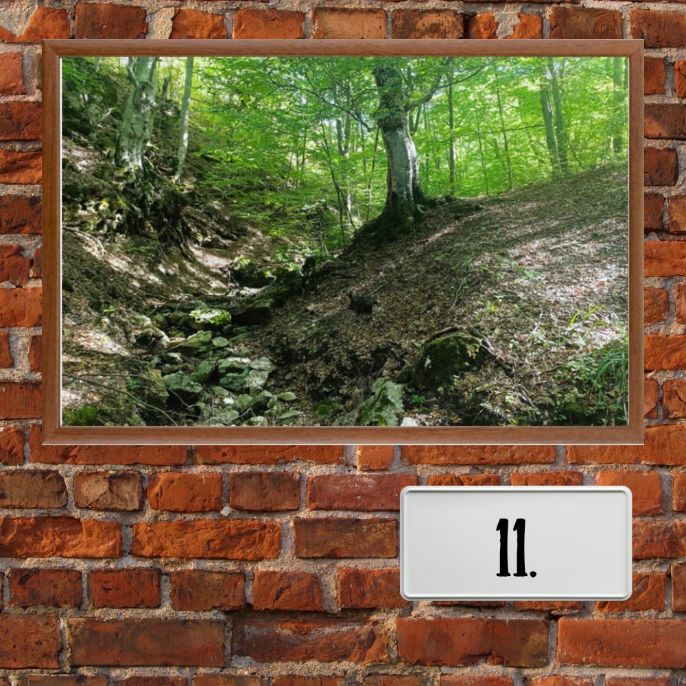 Timočka krajina u ramu - Slika 12