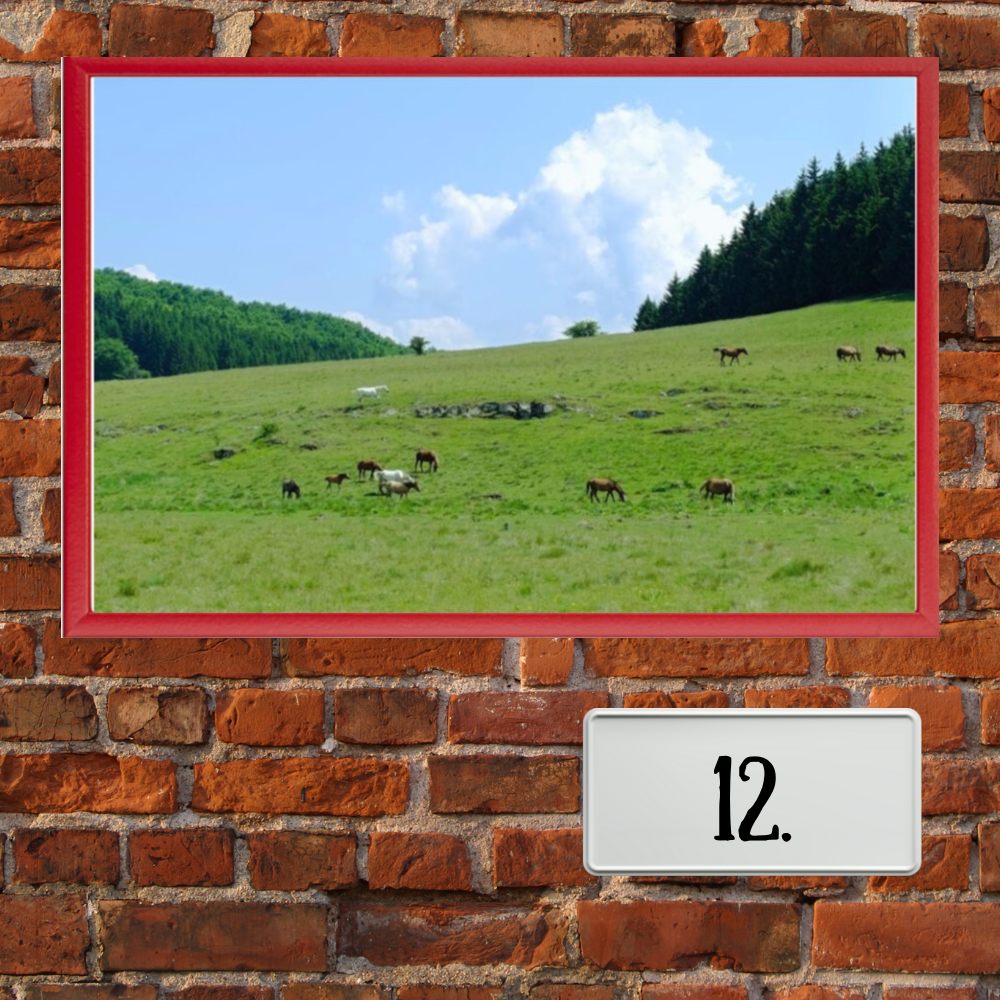 Timočka krajina u ramu - Slika 13