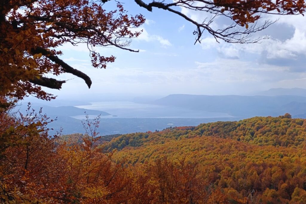 pogled na Ostrvsko jezero