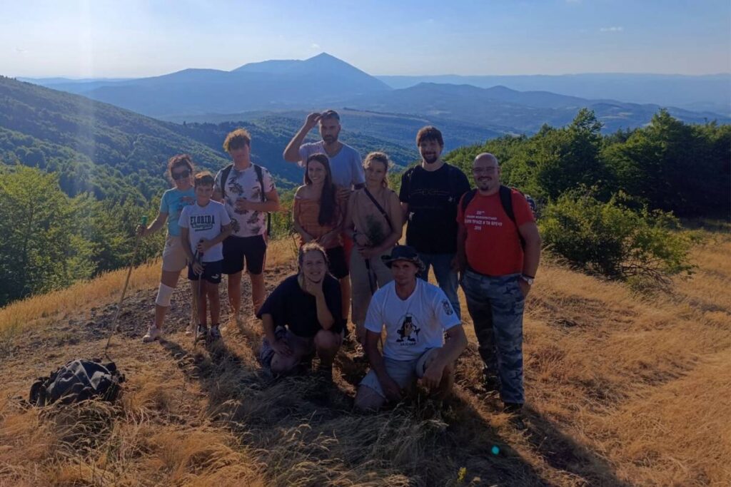 sinkina teglica na slemenu misterija nestalog travara