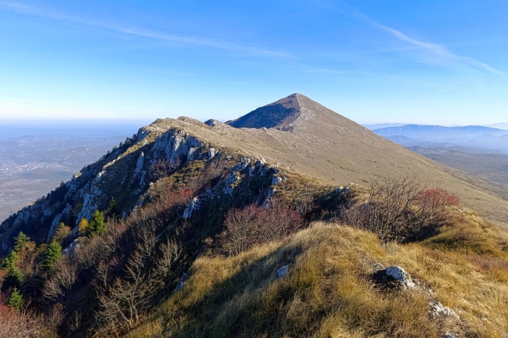 pecine rtnja vrh siljak