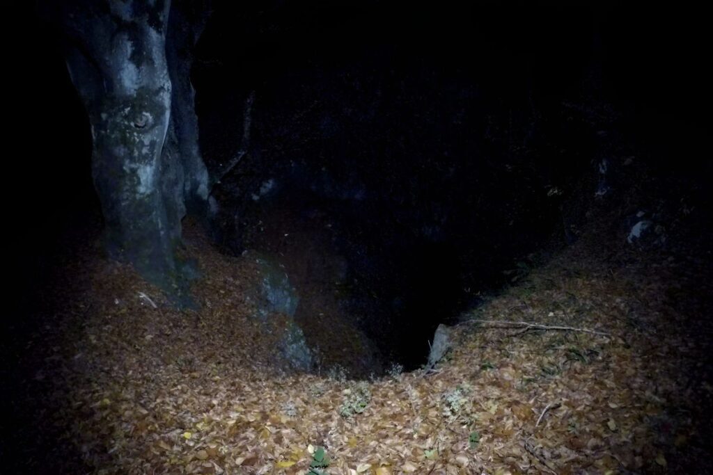 pecine rtnja muzinska ledenica