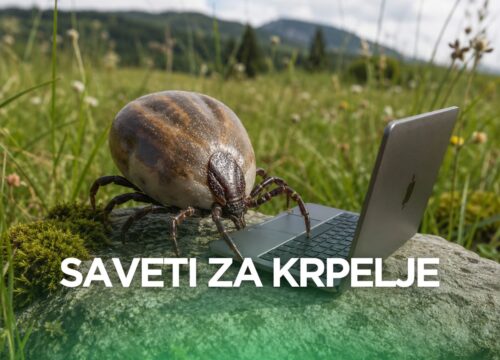 Saveti za krpelje